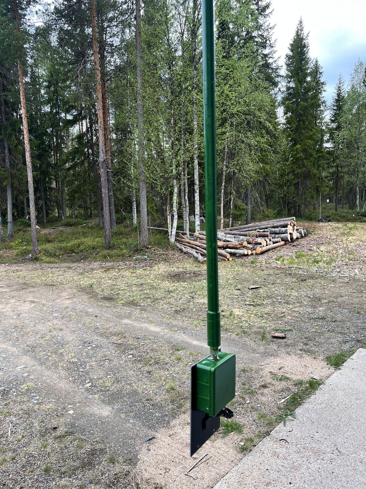 Kattavuussolmu tangon nokassa toukokuussa. Mitä korkeammalla, sitä pidemmälle se kuulee.